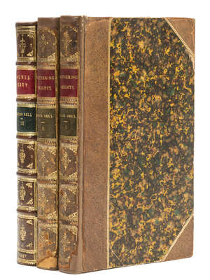 Bronte Wuthering Heights