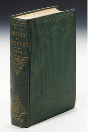 First edition Origin of Species